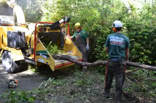 tree services Huntley